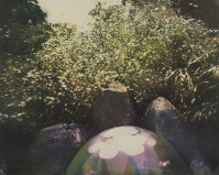 Bea%20Nettles%2C%20%3Cb%3E%3Ci%3E%20Backyard%20Triptych%2C%20from%20Close%20to%20Home%3C%2Fi%3E%3C%2Fb%3E%2C%201980%2C%20dye%20prints%2C%20Gift%20of%20the%20Artist%2C%20%26%23169%3B%20Bea%20Nettles%2C%202011.74.36a-c